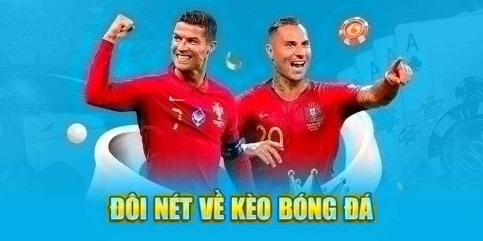 Cách xem biến động tỷ lệ